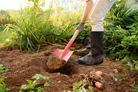  Can You Dig It? Cultivating a Garden Oasis for All Seasons